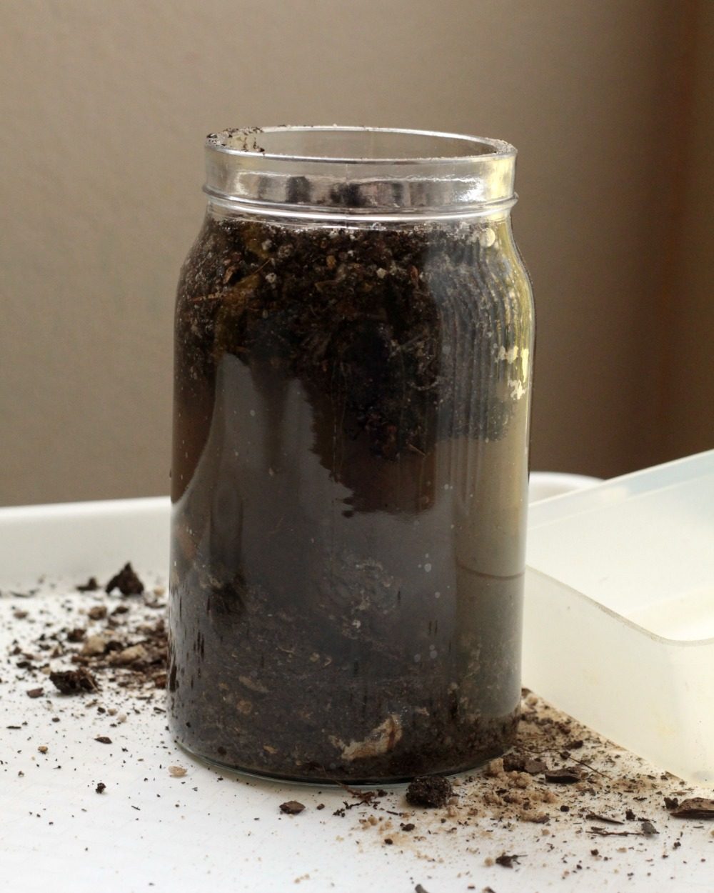 Jar of Dirt